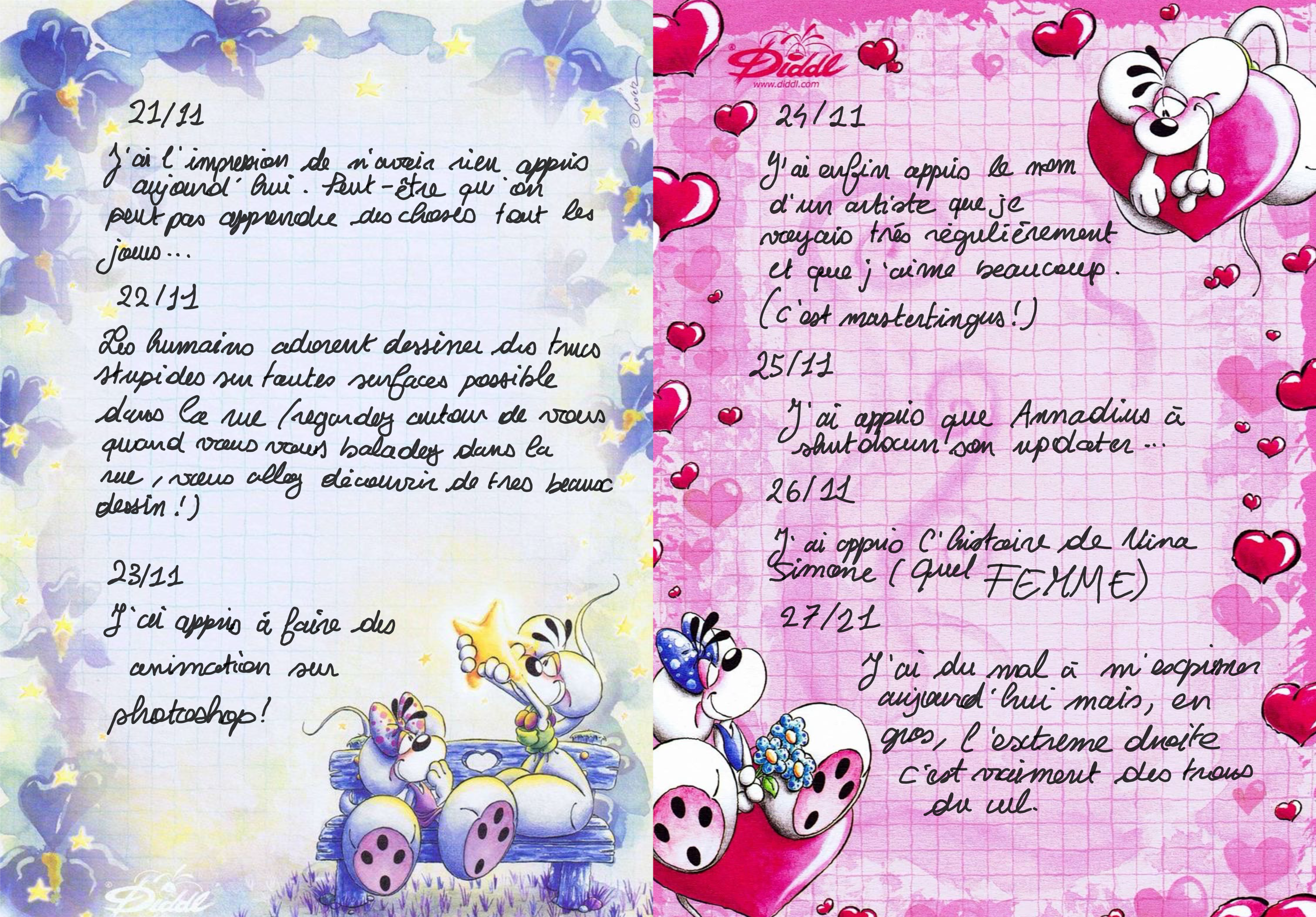 fiche diddle avec des entrées comme un journal intime